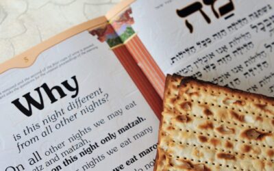 WHAT COMMUNITY ASSOCIATION BOARDS CAN LEARN FROM THE PASSOVER HAGGADAH