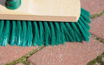 Spring Clean Up: Are Your Community’s Amenities Risk-Ready for the Season? 